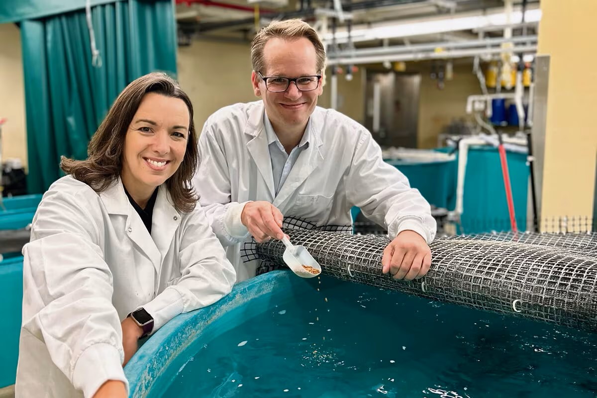 Natacha Hogan and Markus Brinkmann study the human impacts on water quality and fish health at USask's Aquatic Toxicology Research Facility
